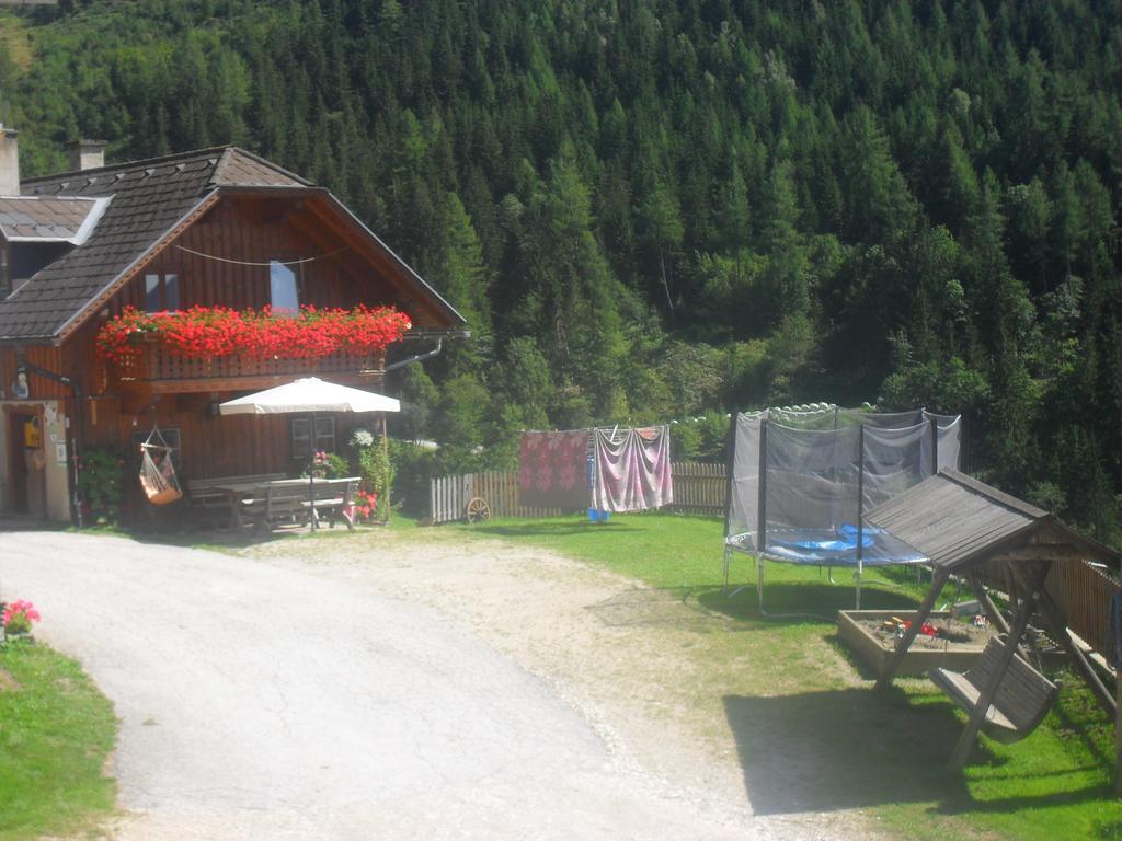 Bio-Bergbauernhof Moeslhof Apartment Aigen im Ennstal Room photo