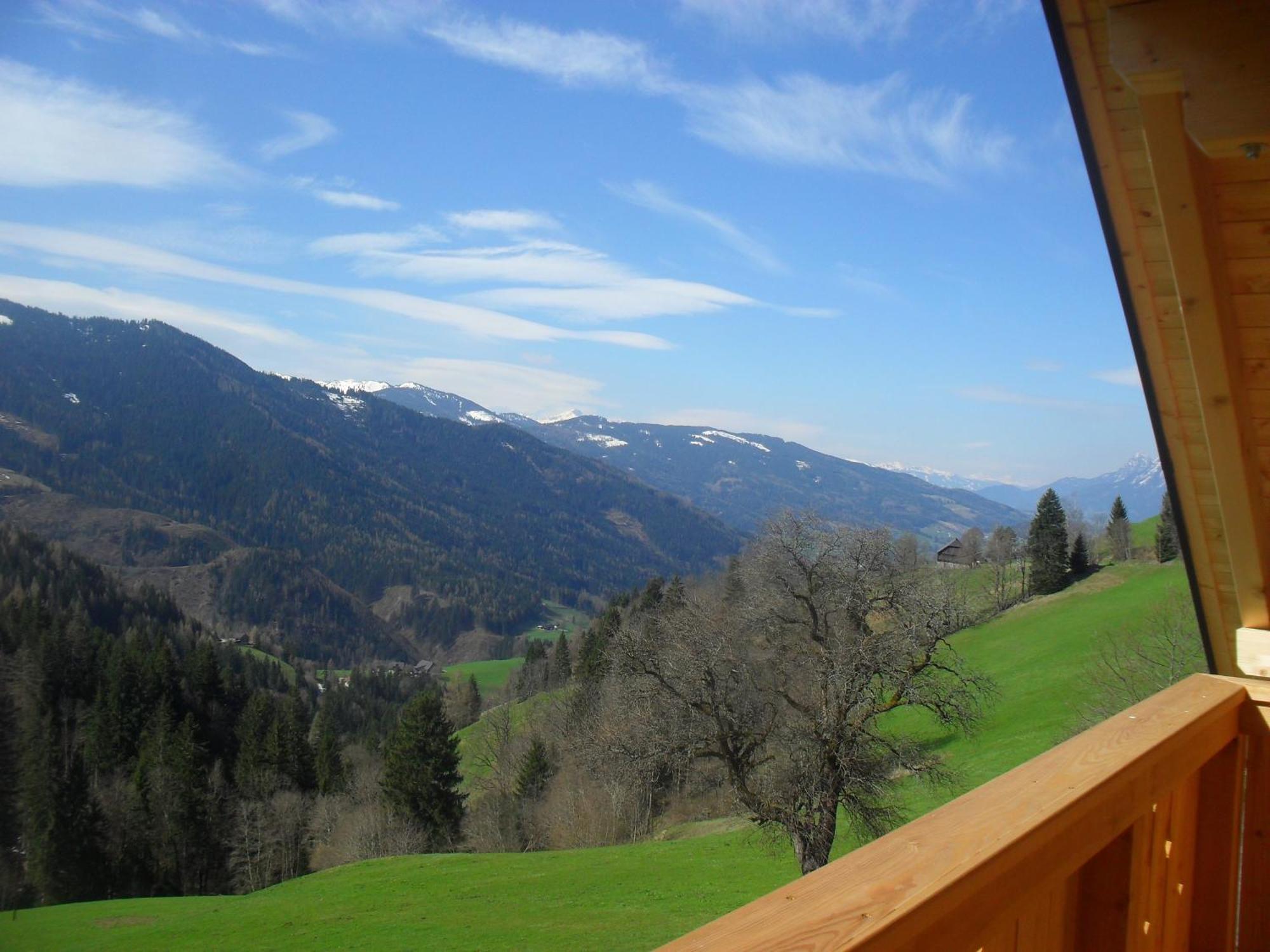 Bio-Bergbauernhof Moeslhof Apartment Aigen im Ennstal Room photo