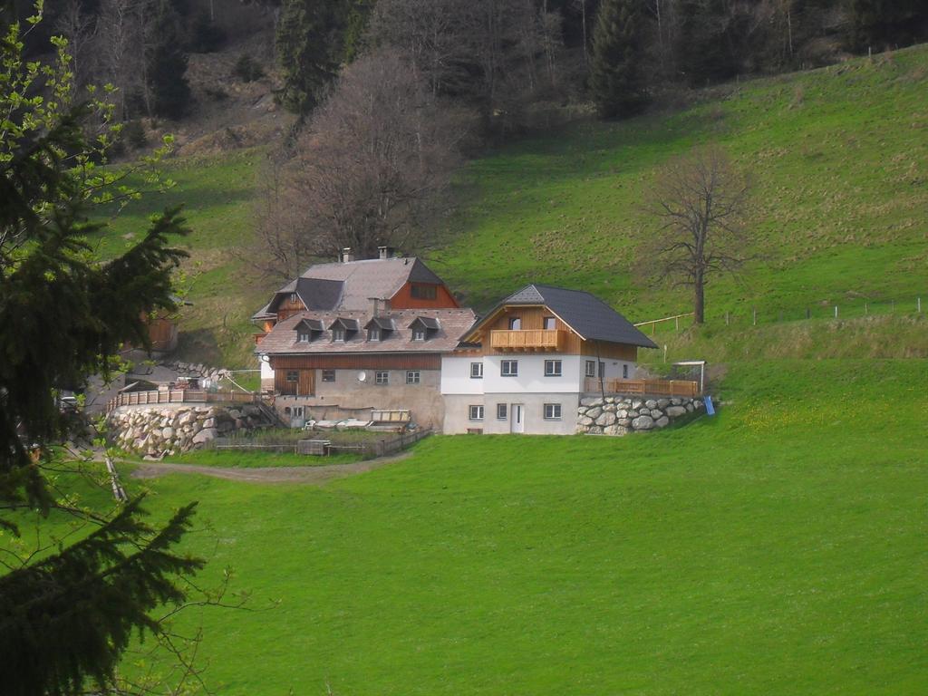 Bio-Bergbauernhof Moeslhof Apartment Aigen im Ennstal Room photo