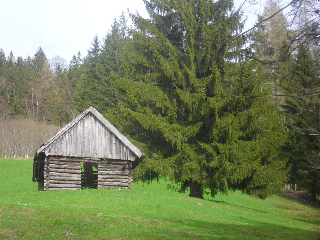 Bio-Bergbauernhof Moeslhof Apartment Aigen im Ennstal Room photo