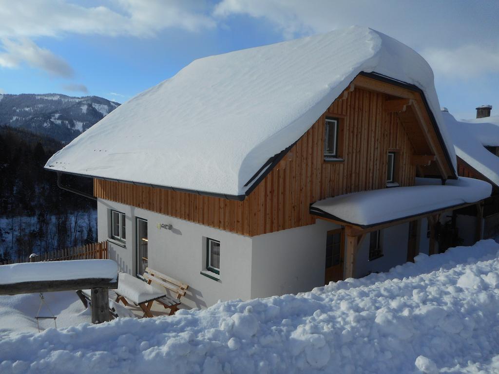 Bio-Bergbauernhof Moeslhof Apartment Aigen im Ennstal Exterior photo